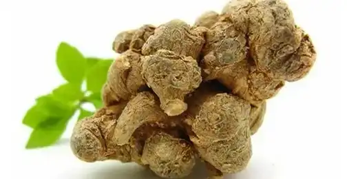 What Is Panax Notoginseng Used For?